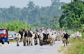 Why we will not stop kidnapping, killings, by Fulani herdsman