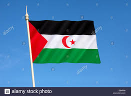 Press Statement – War breaks out in Western Sahara: Need to stop Morocco’s genocide