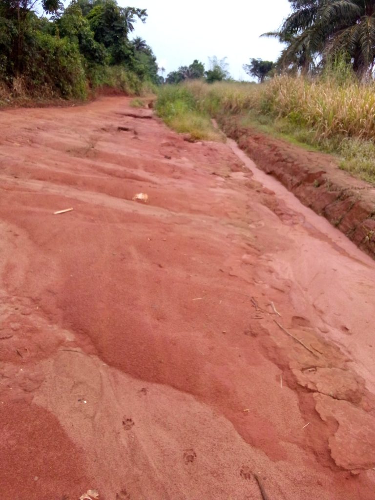 Adonte: A community in pain for lack of roads, cut off; pleads for Okowa’s intervention