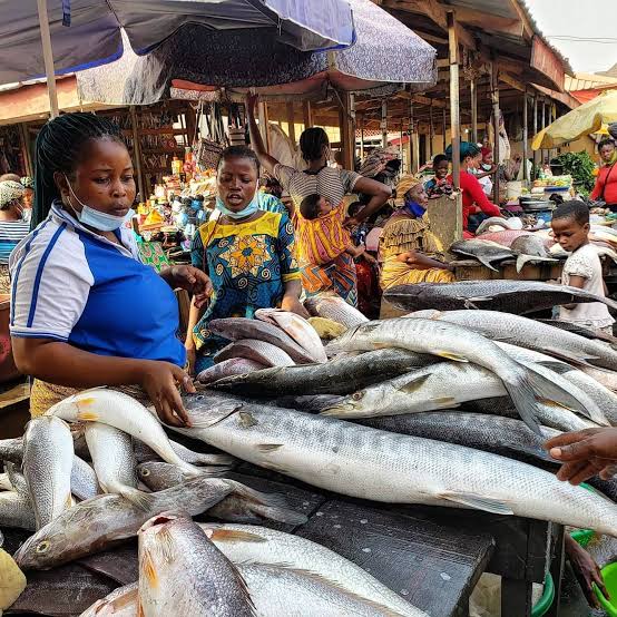 Fresh fish traders seek federal, state govts intervention, decry inadequate supply, high prices