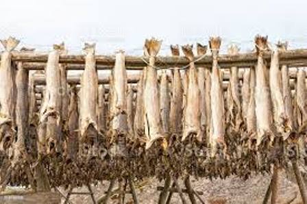 Analysis: Why Stockfish should remain important in Nigerian cuisine