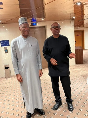 With Baba-Ahmed, journey to take back Nigeria has begun, says Obi