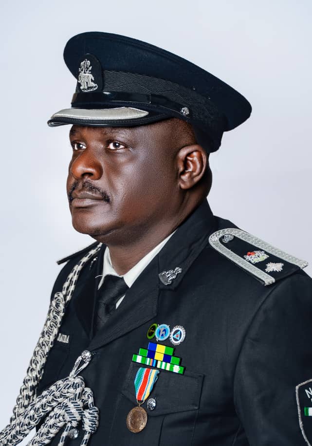 PERSPECTIVE – Ismail Dauda: How to be a police officer!